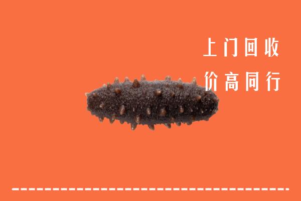 靖边县回收海参